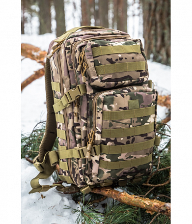 Рюкзак "Assault I" Tactical Pro, 20л, multicam