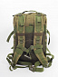Рюкзак тактический CH-7013, olive