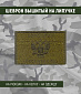 Нашивка на липучке "Донецкая Республика", зеленая одноцв.